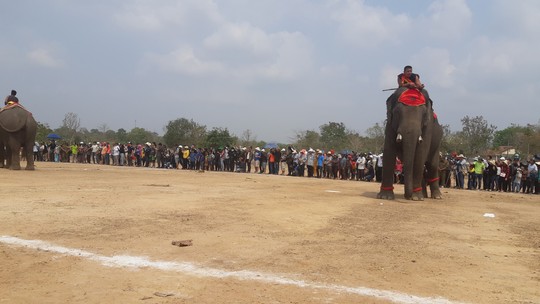 Hàng ngàn người đội nắng xem voi dự tiệc buffet, đá bóng, chạy đua - Ảnh 11.