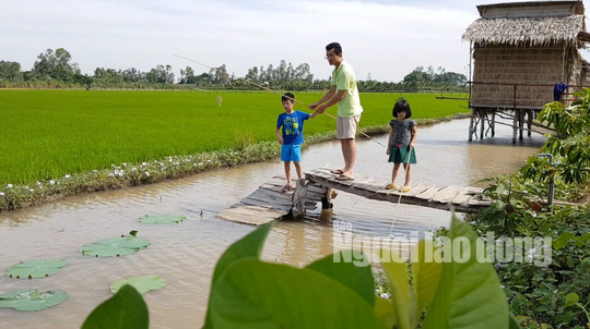 Về Đồng Tháp thích thú khi trải nghiệm du lịch nông nghiệp sạch - Ảnh 1.