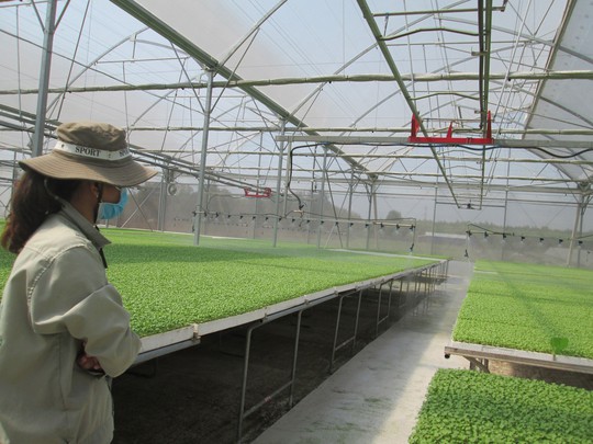 Sức hút của nông nghiệp Việt - Ảnh 1.