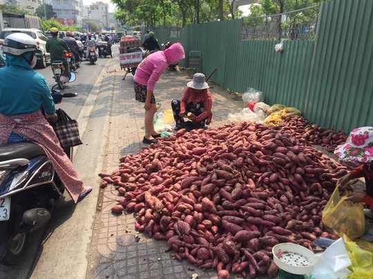 Khoai lang Nhật giá 10.000 đồng/kg tràn khắp các tuyến phố TP HCM - Ảnh 1.