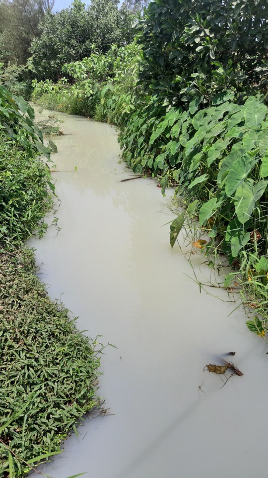 Vụ nước thải tuôn ra kênh ở Đà Nẵng: Phát hiện mẫu nước một công ty giống hệt nước xả thải - Ảnh 2.
