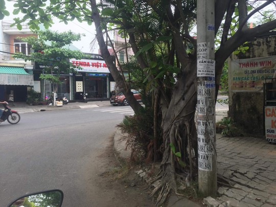 Nhếch nhác tờ rơi cho vay nặng lãi tràn lan trên đường phố Đà Nẵng - Ảnh 12.