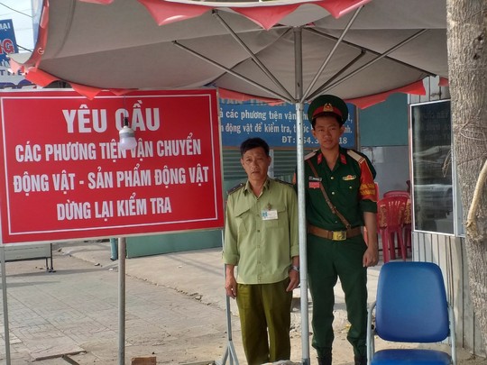 Bà Rịa – Vũng Tàu: Công bố ổ dịch lở mồm long móng ở thị xã Phú Mỹ - Ảnh 2.
