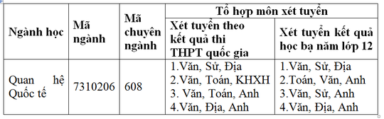 Quan hệ Quốc tế - Ngành học của những nhà ngoại giao tương lai - Ảnh 3.