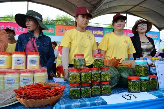 Đặc sắc Lễ hội dưa hấu lần đầu tiên ở Việt Nam - Ảnh 8.
