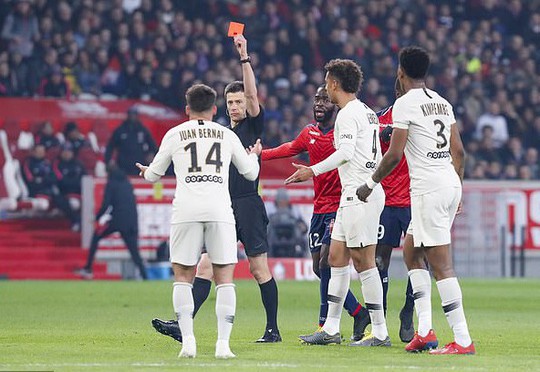 bernat-1555289651396582633930-crop-1555289685523820068673.jpg
