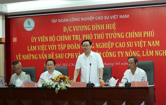 Phó Thủ tướng nhắc Tập đoàn cao su kiểm soát tốt từng mét vuông đất - Ảnh 1.