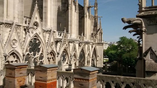 Những “nhân vật đặc biệt” sống sót sau vụ cháy Nhà thờ Đức Bà Paris - Ảnh 5.