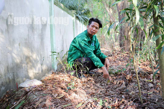 Vụ hơn 300 thi thể thai nhi: Khẩn trương kiểm tra tất cả bệnh viện, phòng khám tư - Ảnh 2.