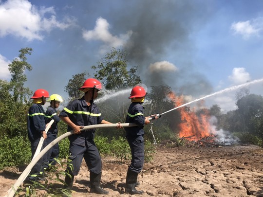 Xứ tôm Cà Mau, Bạc Liêu phấn khởi đón cơn mưa quý hơn vàng - Ảnh 4.