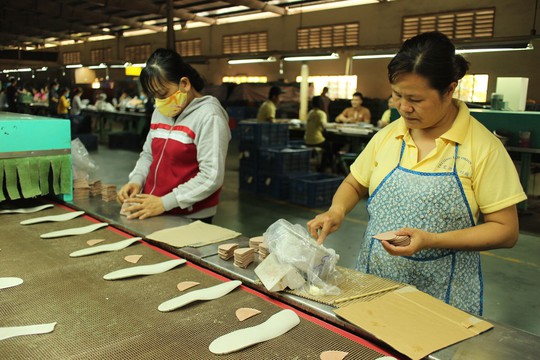 Tăng tuổi nghỉ hưu: Phải xét ngành, nghề đặc thù - Ảnh 1.