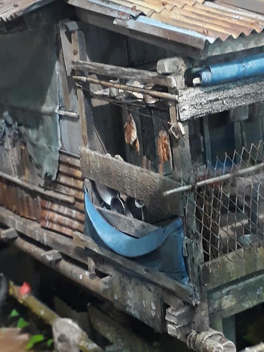 Nhà nổi trên sông Việt Nam làm người Nhật xao xuyến - Ảnh 5. Nhà nổi trên sông Việt Nam làm người Nhật xao xuyến - Ảnh 5.