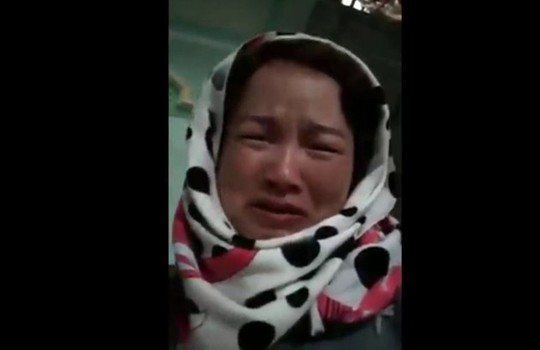 Khởi tố, bắt bà Trần Thị Hiền, mẹ nữ sinh giao gà - Ảnh 1. Khởi tố, bắt bà Trần Thị Hiền, mẹ nữ sinh giao gà - Ảnh 1.