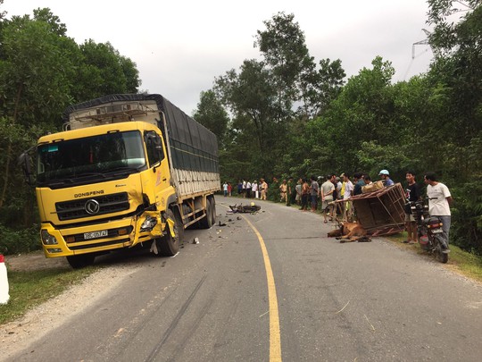 Em trai bi tai nan giao thong anh dang nhau lien vac dao de doa canh sat