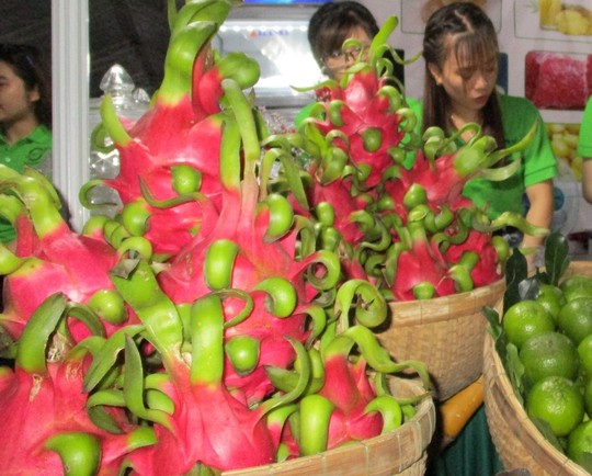 Ngò tàu, thanh long Việt bị Nhật “soi” vì nhiễm thuốc bảo vệ thực vật