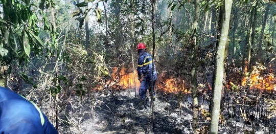 Đà Nẵng: Cháy lớn suốt 5 giờ khiến 3 hecta rừng bị thiêu rụi - Ảnh 3.