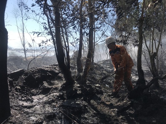 Cháy lớn trên bán đảo Sơn Trà, hơn 8 hecta rừng bị thiêu rụi - Ảnh 3.