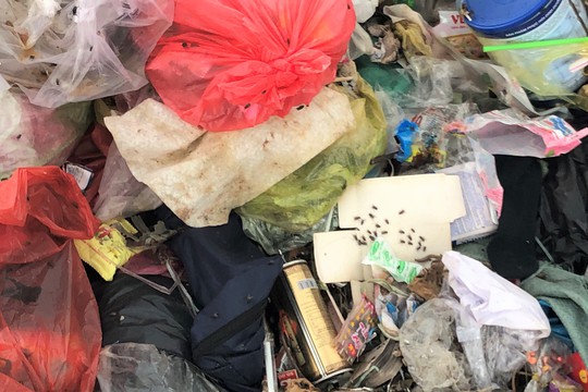 Dân bức xúc vì bãi rác nằm án ngữ cửa ngõ vào TP Bạc Liêu - Ảnh 8.