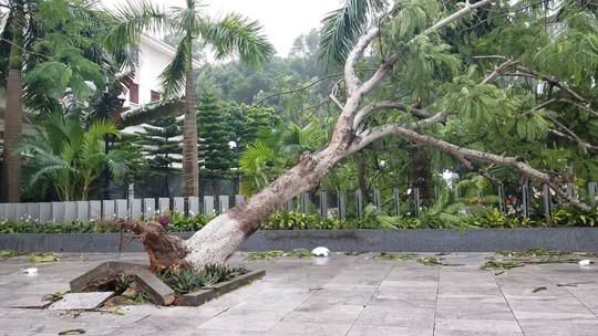 Cận cảnh nơi bão số 2 vừa quét qua - Ảnh 6. Cận cảnh nơi bão số 2 vừa quét qua - Ảnh 6.