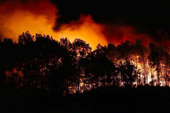 Rừng tại Hà Tĩnh cháy đỏ trời trong đêm, nhiều hộ dân phải sơ tán khẩn cấp - Ảnh 2.