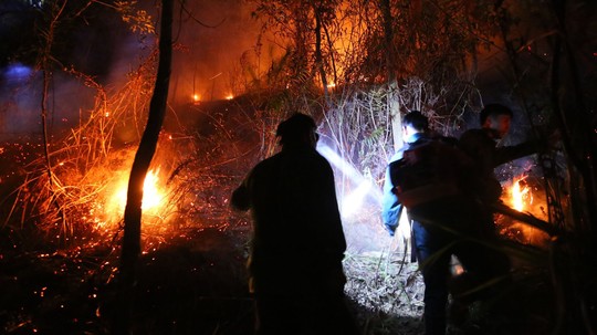 Rừng tại Hà Tĩnh cháy đỏ trời trong đêm, nhiều hộ dân phải sơ tán khẩn cấp - Ảnh 6.