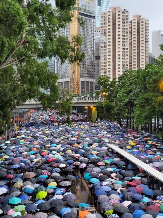 Biển ô tuôn xuống đường ở Hồng Kông ngày cuối tuần - Ảnh 1.