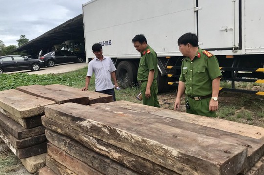 Phát hiện kho chứa gỗ lậu quý ở Trường Sơn - Ảnh 1.