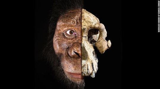 Phát hiện khuôn mặt mới của tổ tiên loài người 3,9 triệu tuổi - Ảnh 1.