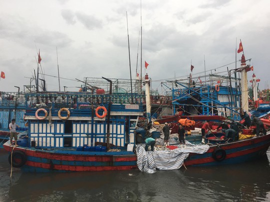 Quảng Bình: Tàu cá bị sóng đánh chìm khi vào trú bão, 2 thuyền viên gặp nạn - Ảnh 1.