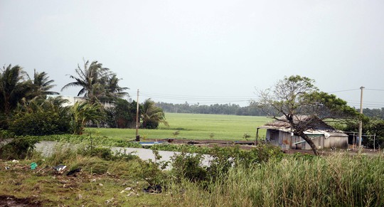 Miền biển Tây Cà Mau tan hoang sau mưa bão - Ảnh 3.