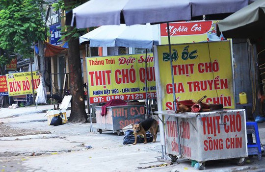 TP HCM khuyến cáo người dân bỏ thói quen ăn thịt chó - Ảnh 1.