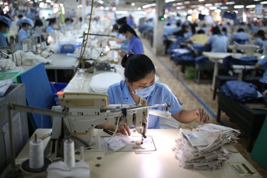 Tuổi cao thì năng suất lao động kém - Ảnh 1.