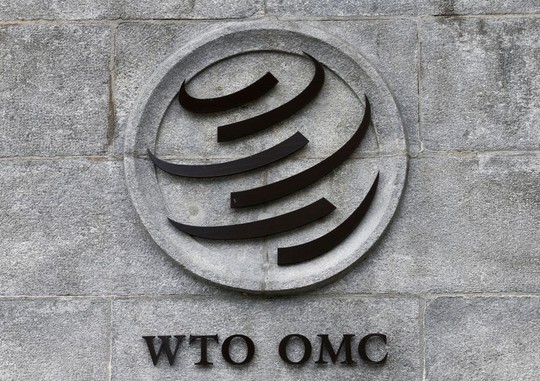 Bị áp thuế, Trung Quốc kiện Mỹ lên WTO - Ảnh 1.