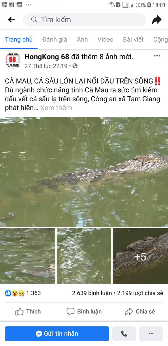 Fanpage quán trà sữa ở Cần Thơ đăng thông tin cá sấu xuất hiện ở Cà Mau để câu like - Ảnh 1.