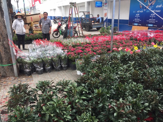 Đường phố TP HCM tràn ngập hoa Tết bán sớm - Ảnh 3.
