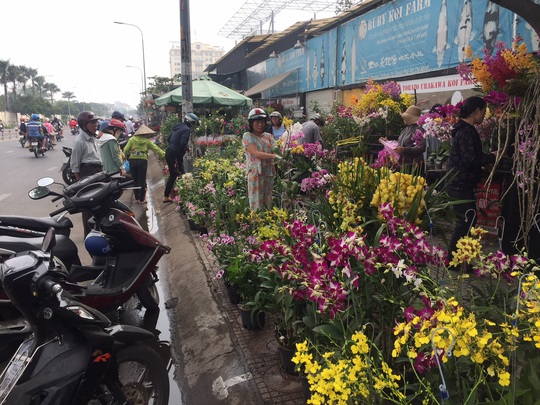 Đường phố TP HCM tràn ngập hoa Tết bán sớm - Ảnh 5.