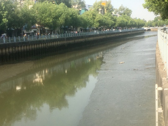 Bùn “ngập mặt” kênh Nhiêu Lộc – Thị Nghè - Ảnh 2.