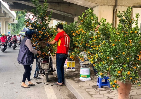 Cận cảnh nhà ga đường sắt Cát Linh - Hà Đông thành chợ cây cảnh - Ảnh 8.