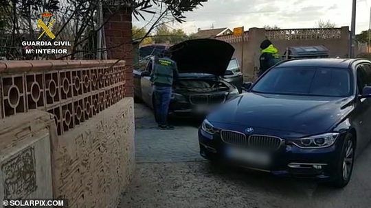 Băng đảng “được huấn luyện quân sự” buôn lậu cần sa - Ảnh 1.