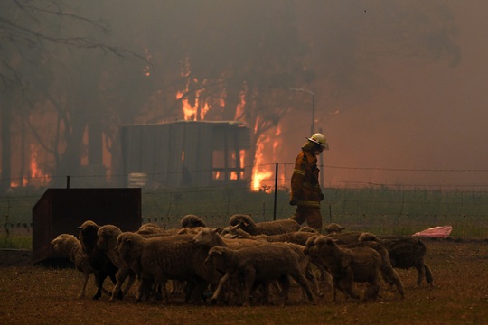 Cháy rừng ở Úc: Điều tồi tệ nhất chưa đến! - Ảnh 1.