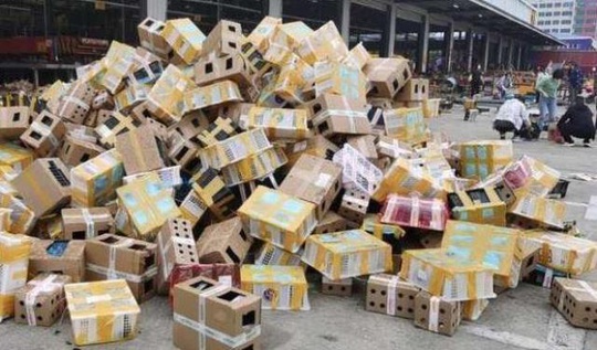 Thảm cảnh của 5.000 thú nuôi chết trong thùng hàng chuyển phát tại Trung Quốc - Ảnh 1.
