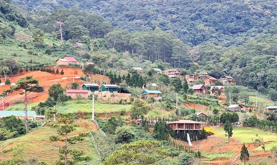 Làng biệt thự vắng chủ xây trái phép trên đất rừng Lâm Đồng - Ảnh 1.
