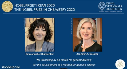 Giải Nobel Hóa học 2020 đã có chủ - Ảnh 1.