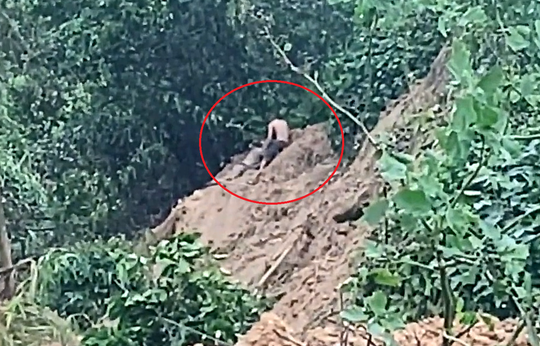 CLIP: Thời khắc cứu sống người bị chôn vùi do sạt lở núi ở Quảng Nam - Ảnh 1.