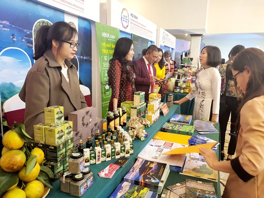 Kết nối du lịch TP HCM với 8 tỉnh Tây Bắc: Nâng chất điểm đến để kéo du khách quay lại - Ảnh 1.
