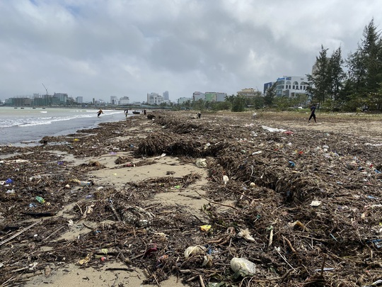 CLIP: Rác tràn ngập bãi biển Đà Nẵng sau bão số 13 - Ảnh 3.
