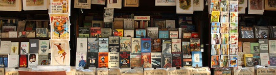Phố bán sách cũ bên bờ sông Seine - Ảnh 1.