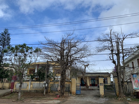 Hàng chục ngàn cây xanh trên đảo Lý Sơn bị bão vặt trụi lá - Ảnh 12.