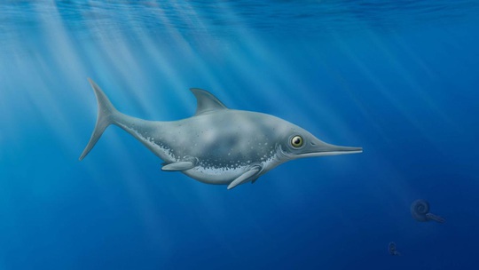 Đi dạo, người đàn ông đào được sinh vật lạ 150 triệu tuổi, to như cá mập - Ảnh 2.