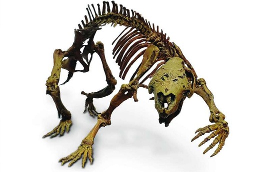 Hãi hùng con thú điên nguyên vẹn 66 triệu tuổi, sống giữa khủng long - Ảnh 1.